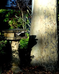 DSC_7647 1