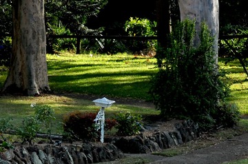 DSC_7718 1