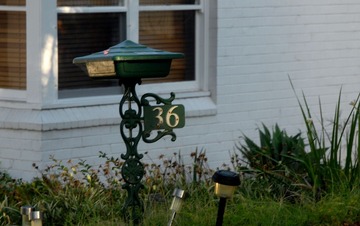DSC_8487 1