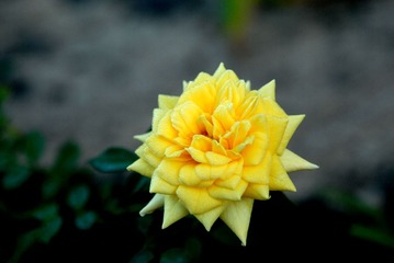 DSC_8471 1