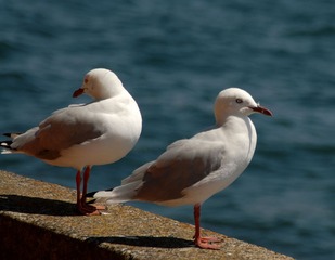 DSC_8069 1