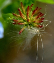 DSC_6134_1