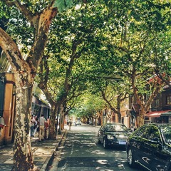 DSC10663-02