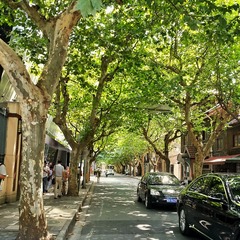 DSC10663-01