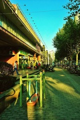 IMG_0528_1