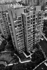 IMG_0548_1
