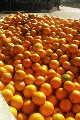 IMG_0619_1