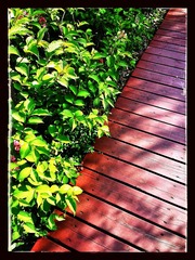 20130501_154224_1