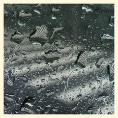 IMG_0071_1