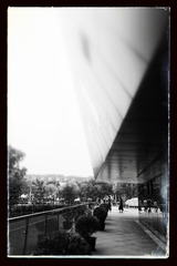 IMG_0195_1