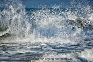 _DSC0563