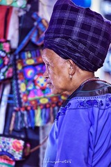 _DSC2115