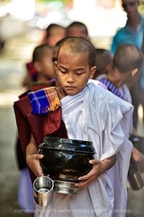 _DSC4916