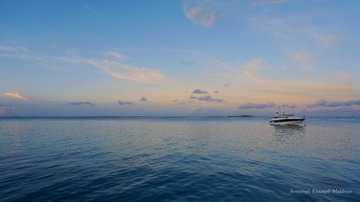 DSC00567_