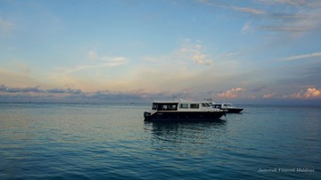 DSC00568__