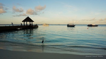 DSC00524_