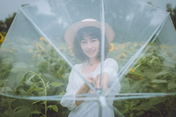 向日葵