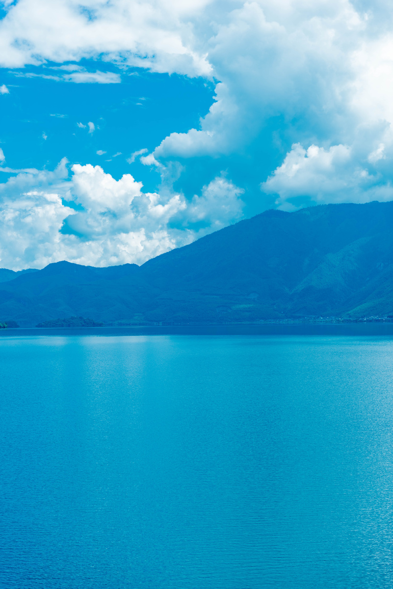 这里的一切都很明净.