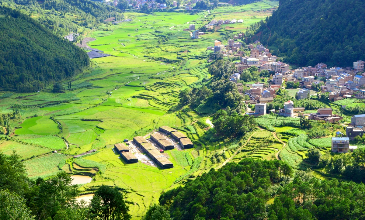 乡村田园