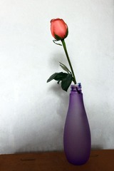 IMG_1129a