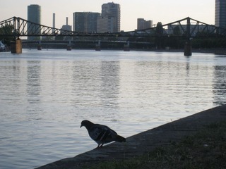 0 IMG_6311 - 
