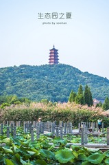 生态园之夏