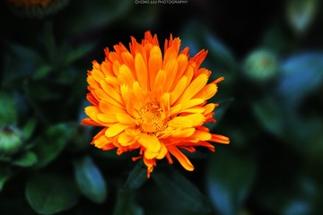 IMG_5542__s