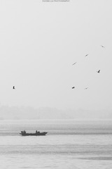_MG_1087_1_1_s