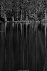 _MG_1514_1_s