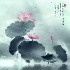 荷韵