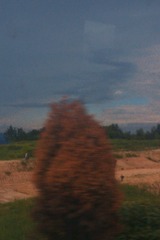 2694058