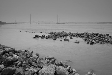 SDIM2202