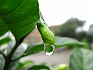 04 雨后
