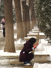 05 雪趣