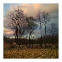 WP_20131108_002-1
