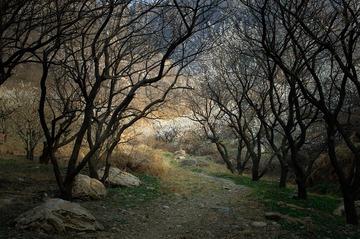 _DSC4549-