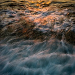 _DSC4234