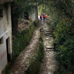 DSC00708-0