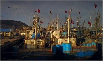 WP_20131121_018