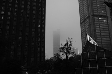 21018