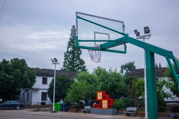 87005