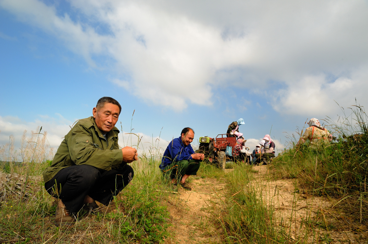 田头休息的农夫