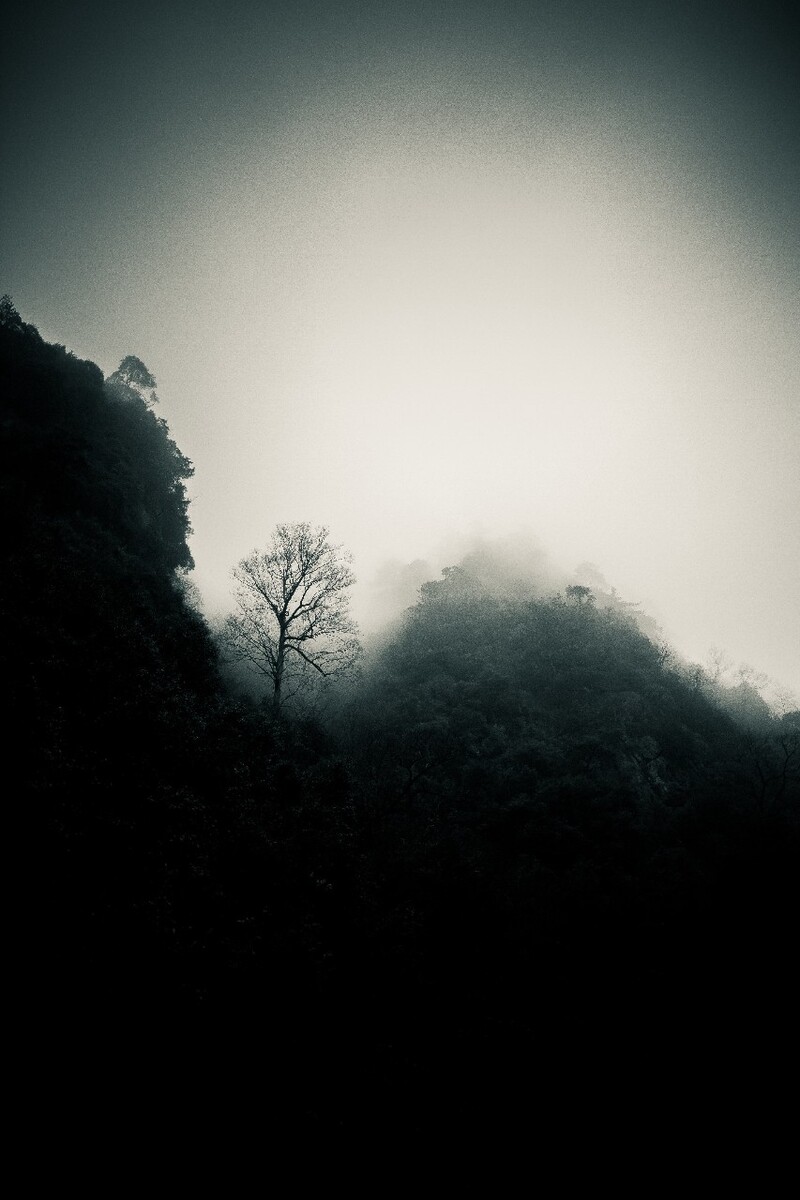 崖