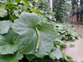 20160825_151559