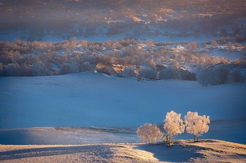 坝上雪景雾凇3
