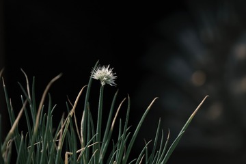 34F3F6CE-A2EB-4C26-B45B-7C364AF269D1/L0/001