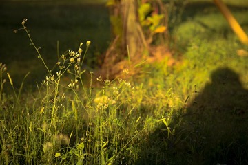 IMG_7445-编辑