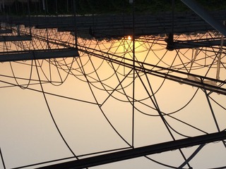 00014