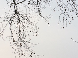 00027