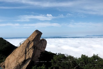 云海6